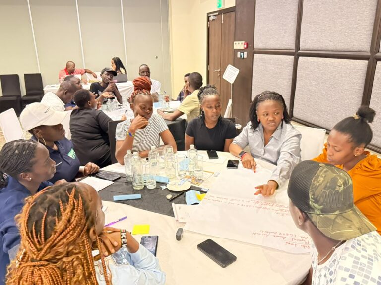 Civic Voice: Safer Voices, Stronger Civic Action in Kisumu